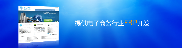 电子商务行业ERP定制开发